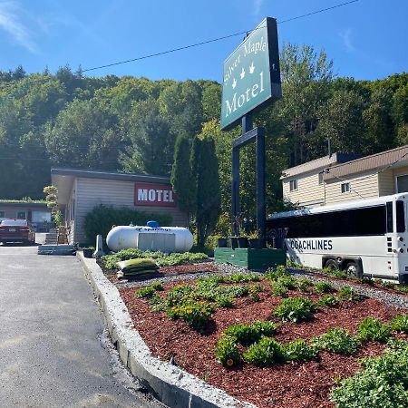 Silver Maple Motel 哈里伯顿 外观 照片